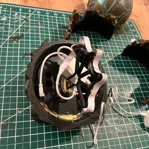 Bottom Assembly