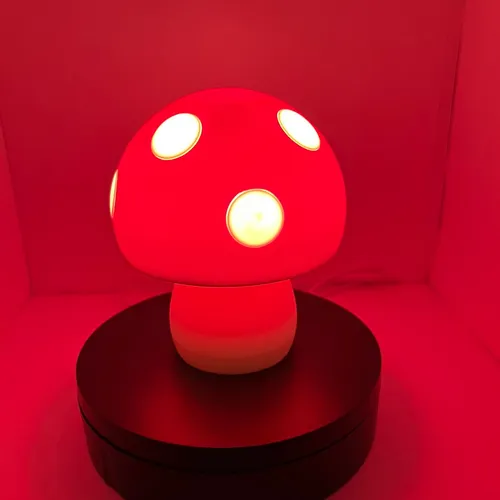Lamp Lit