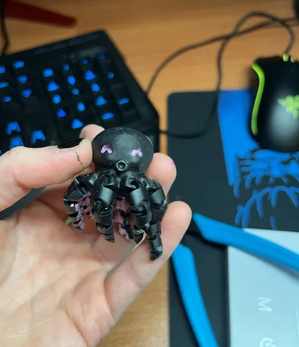 Octopus