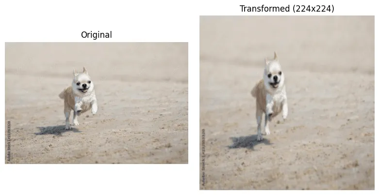 Output Resize