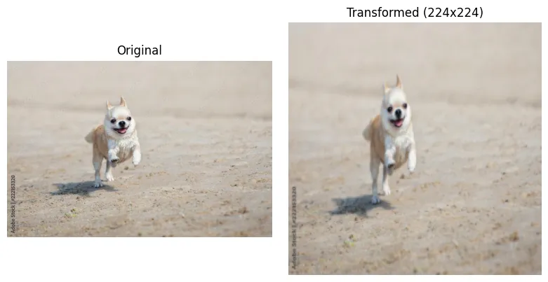 Output Resize