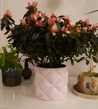 Inflated plant pot