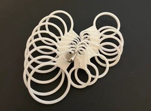 Ring size measuring set