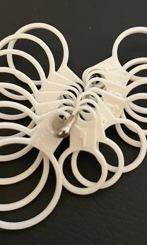 Ring size measuring set