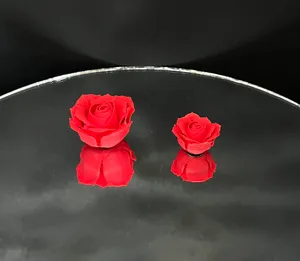 Rose, front view