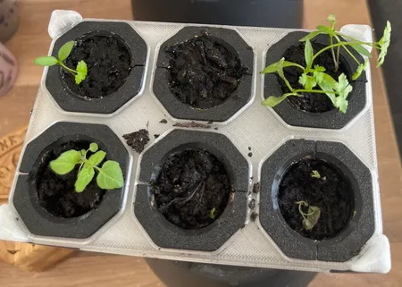 Self-watering seed starter
