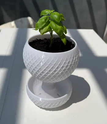 Self-watering planter