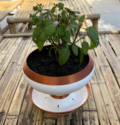 Self-watering planter