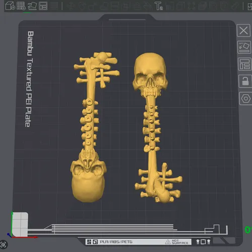 Skull Key Bambulab