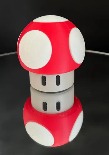 Switch Game Case